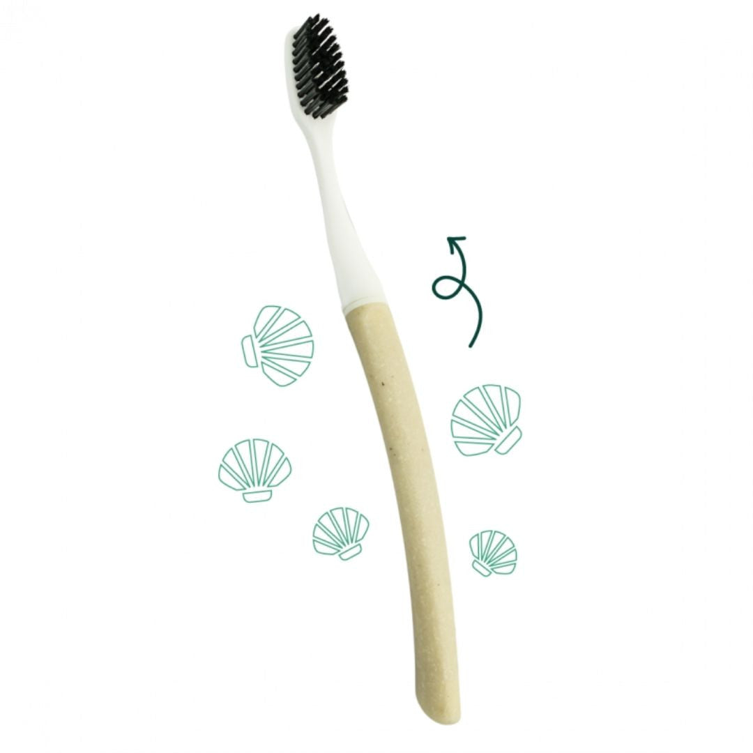 brosse à dents - bio - recyclable - salle de bain green - made in France - lin - coquille saint Jacques
