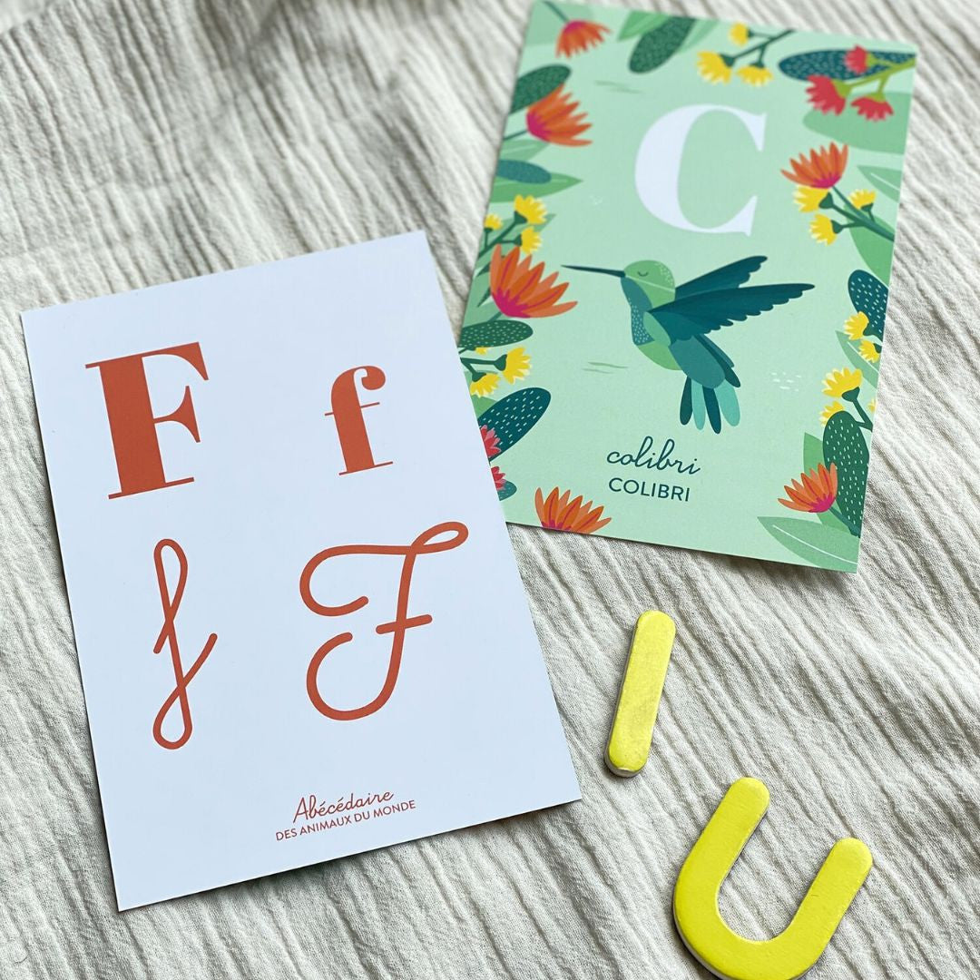 Cartes alphabet - Papier Curieux