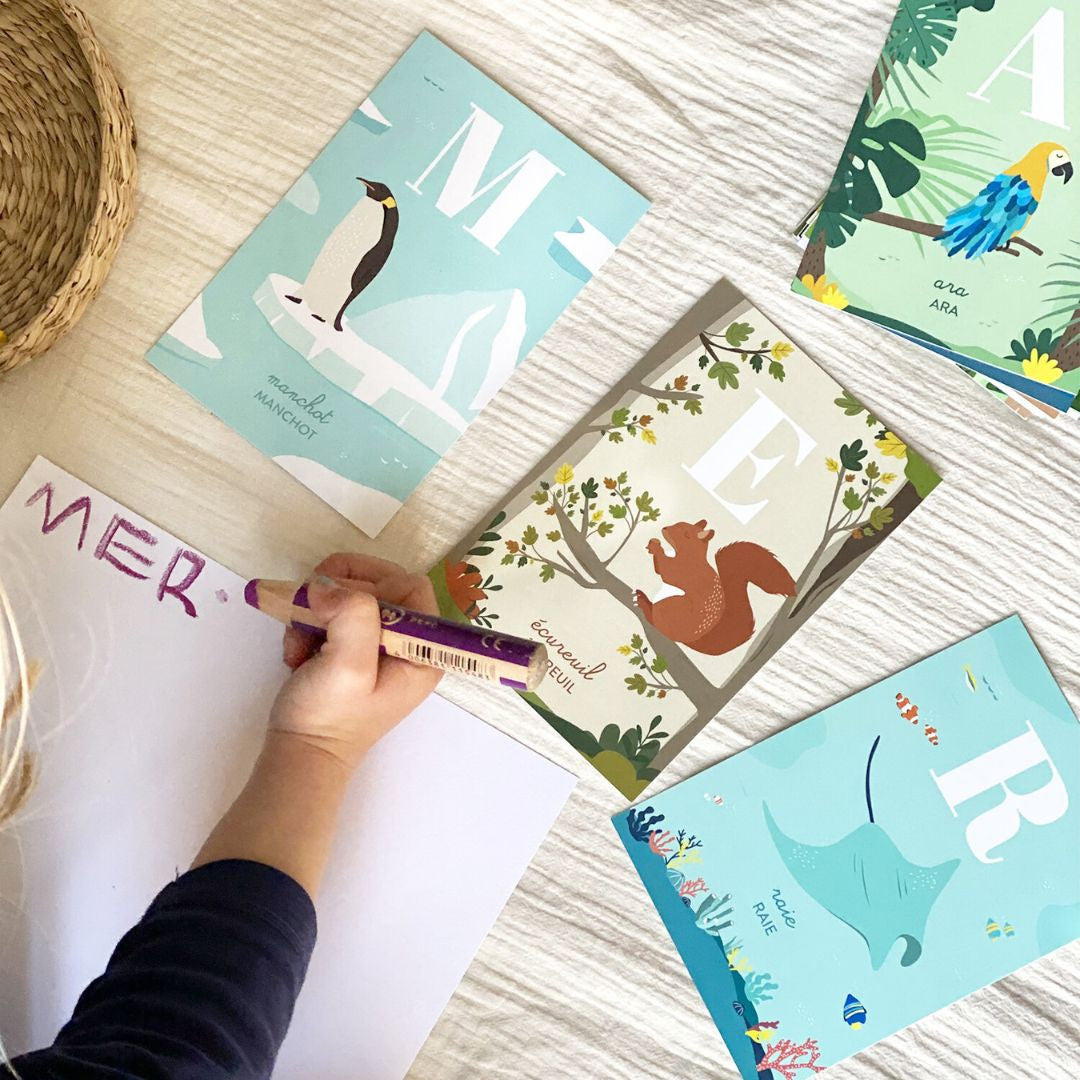 Cartes alphabet des animaux - Papier Curieux