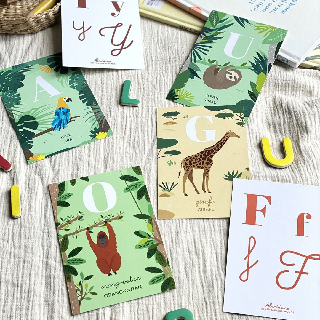 Cartes animaux - Papier Curieux