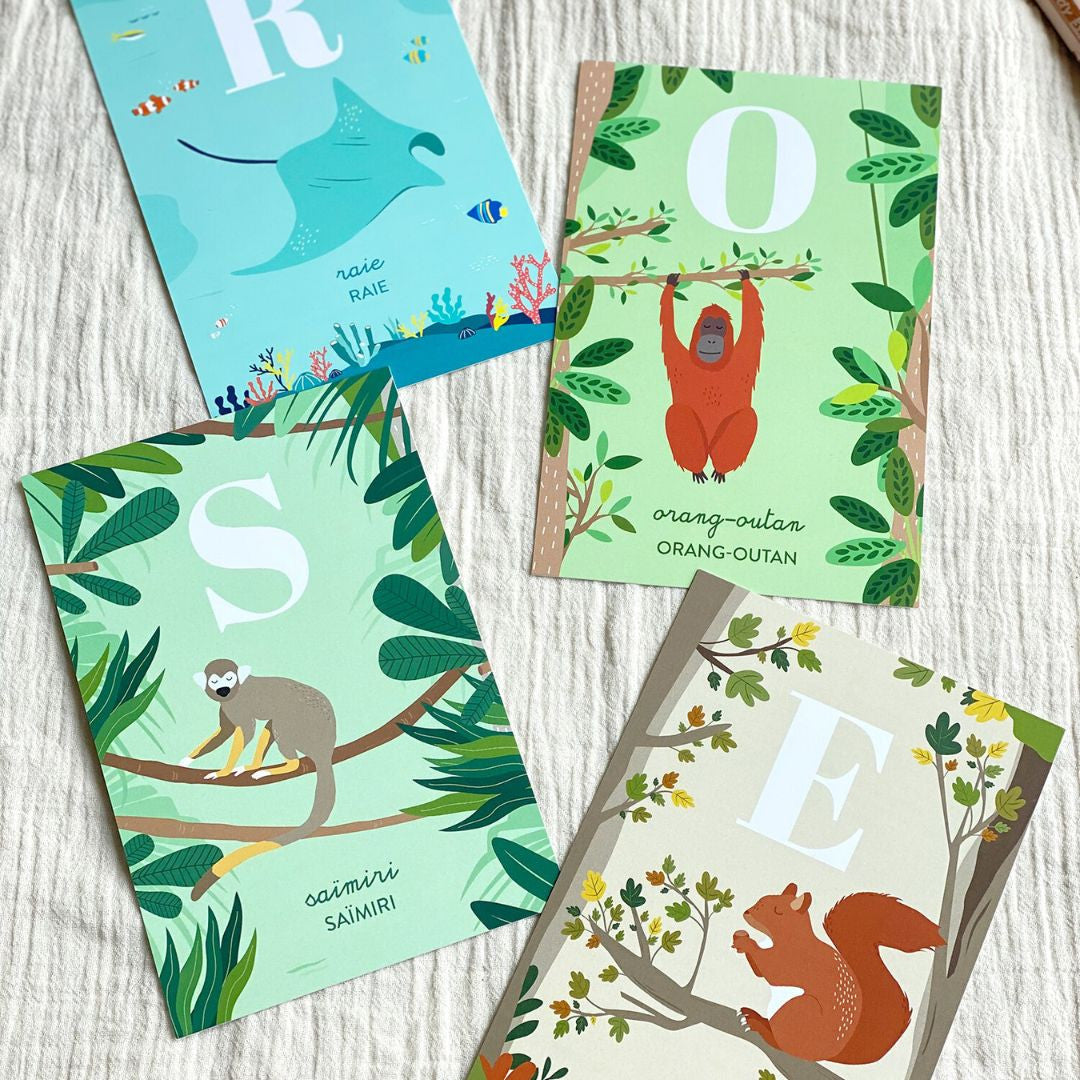Alphabet animaux - Papier Curieux