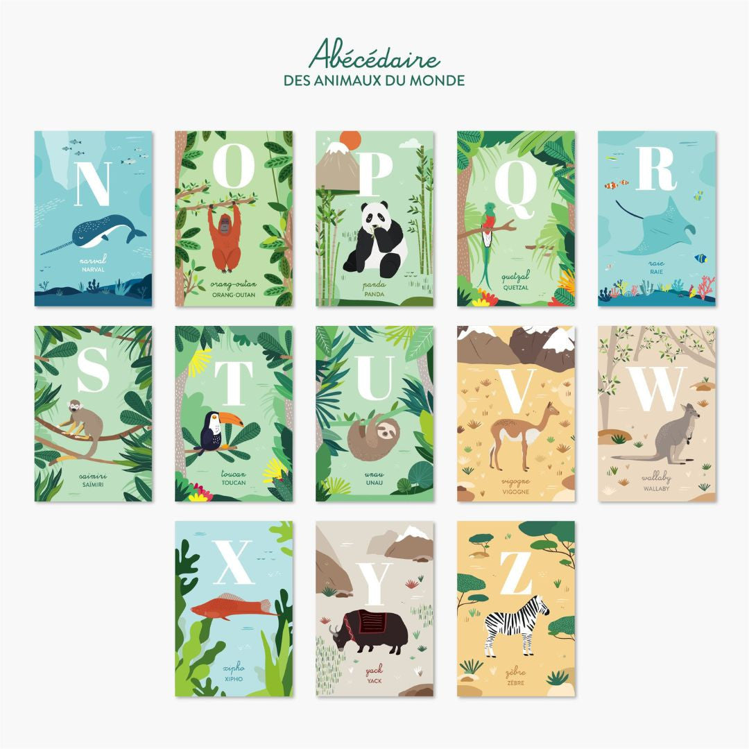 Cartes alphabet éco-responsables - Papier Curieux