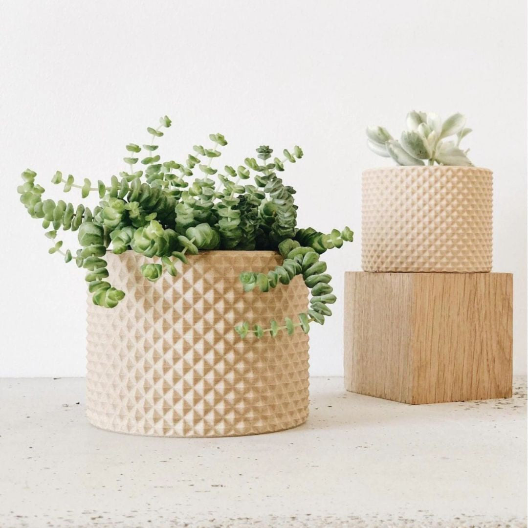 Cache-pot PIKO