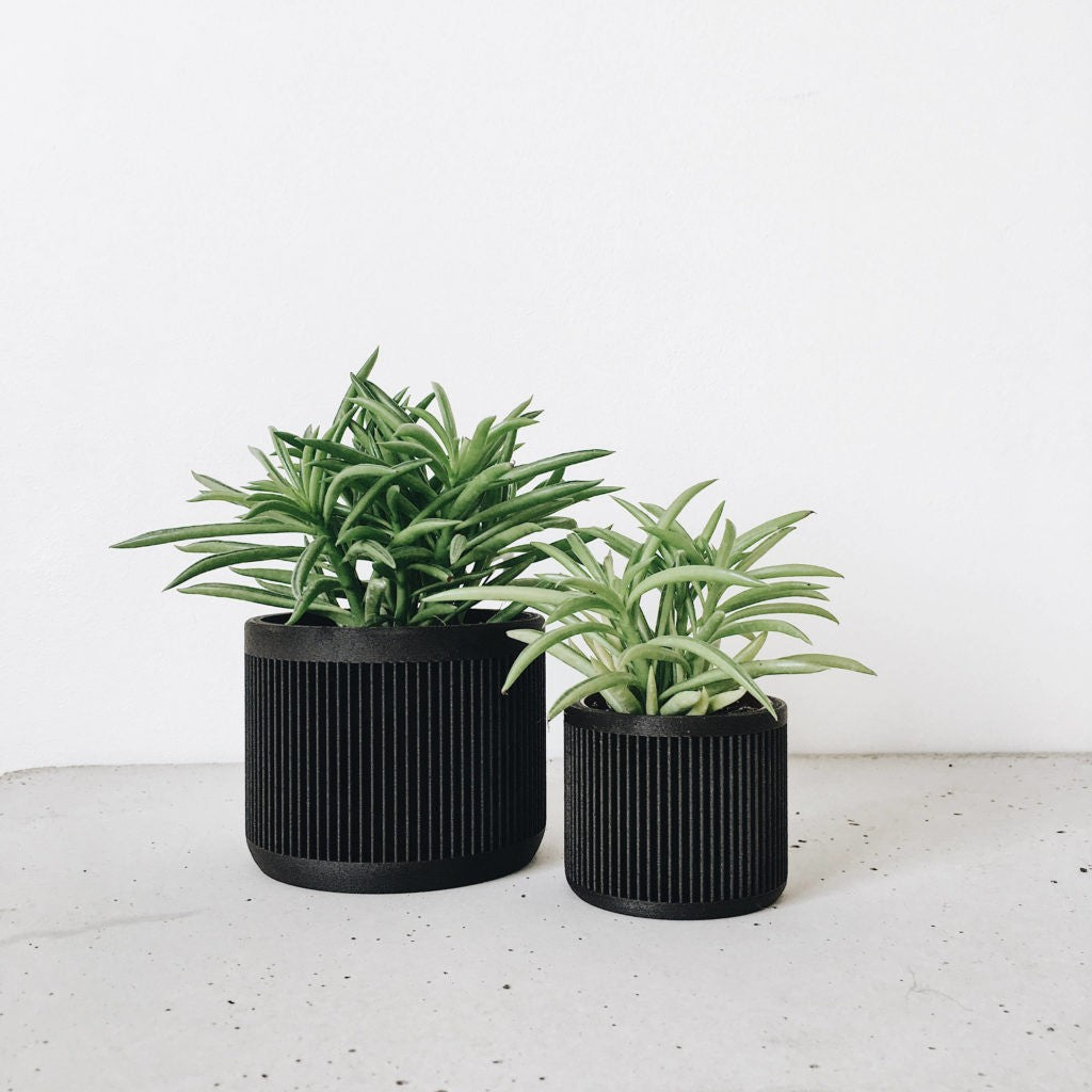 Petit pot plante d&