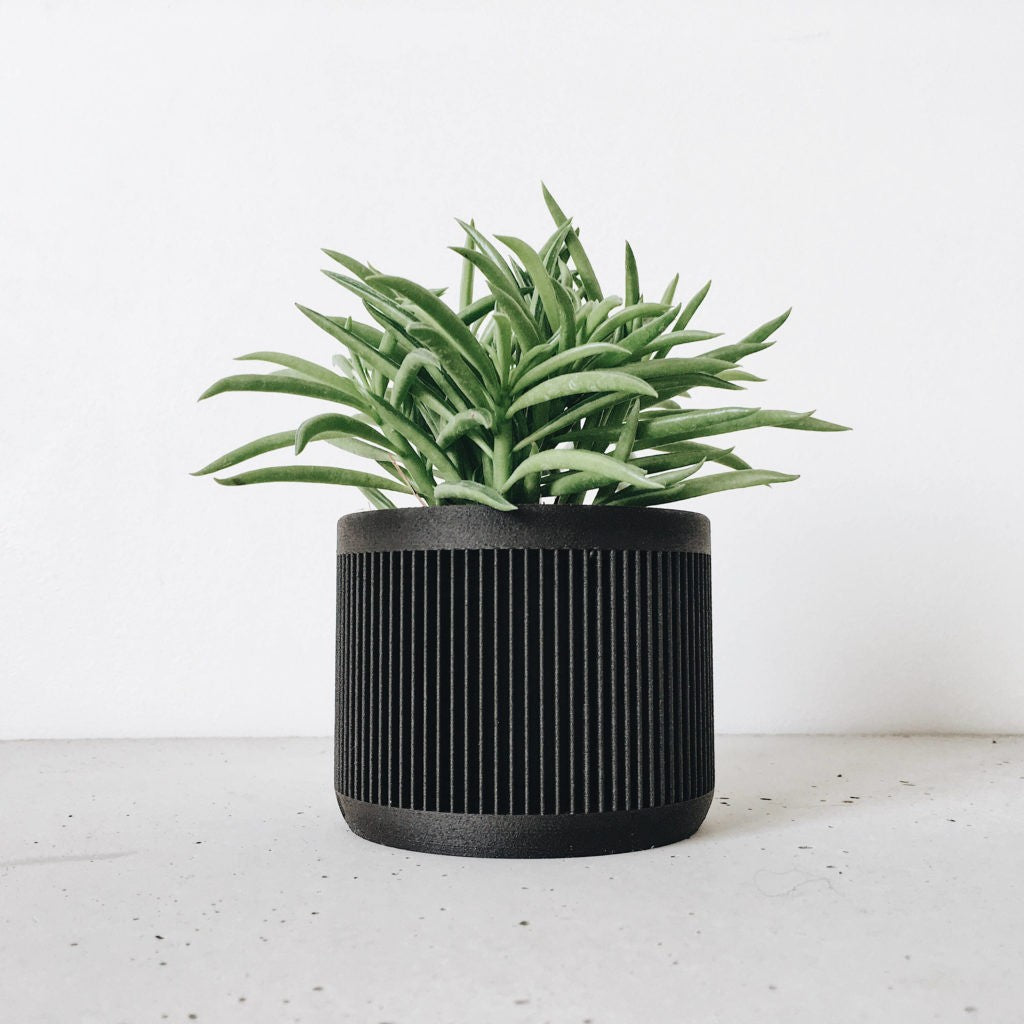 Cache pot noir pour plantes vertes et captus