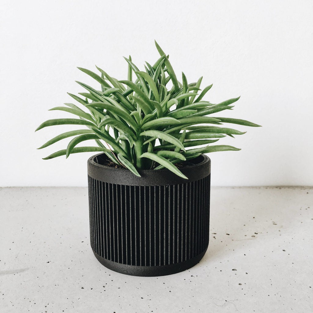 Pot noir design plante d&