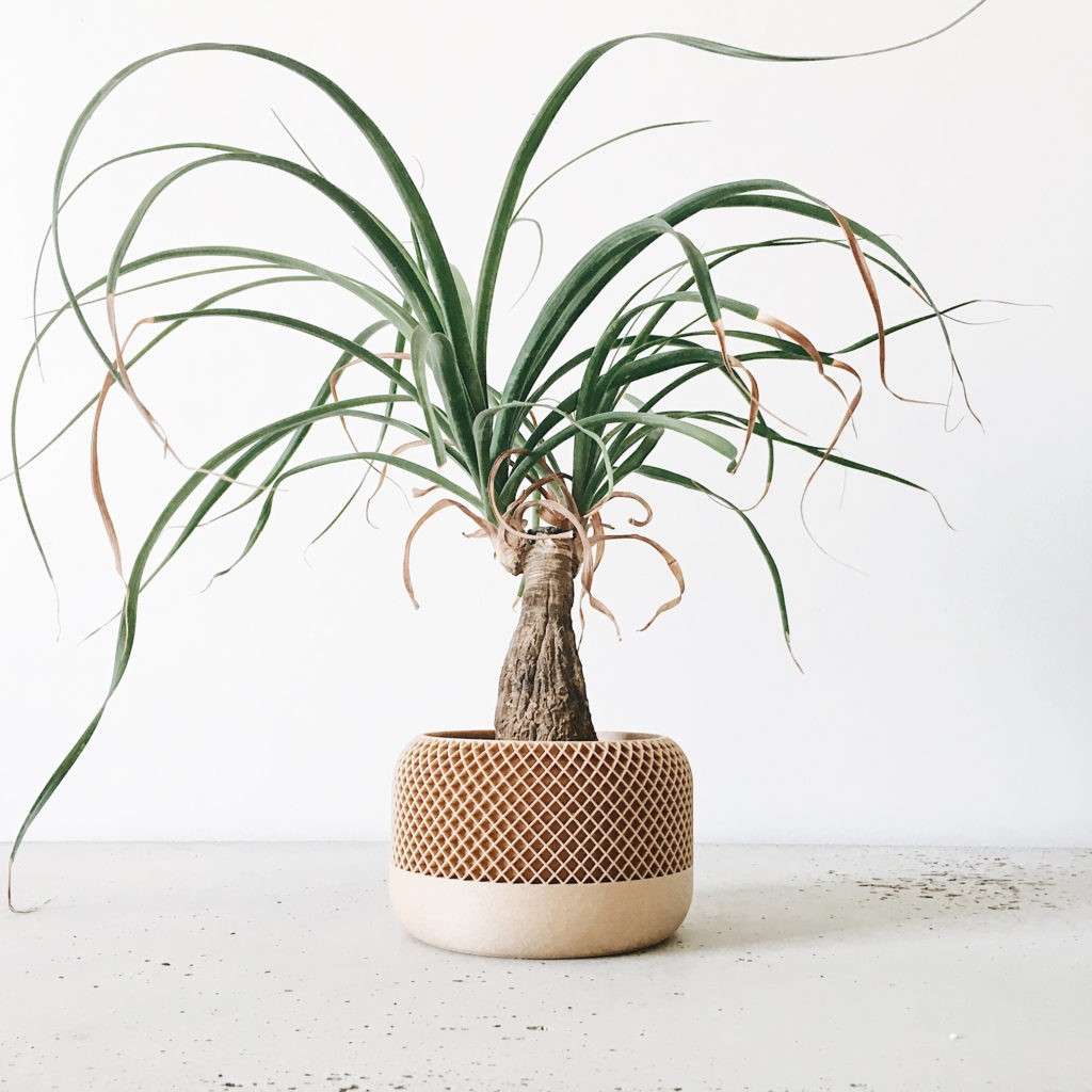 Pot design plante d&