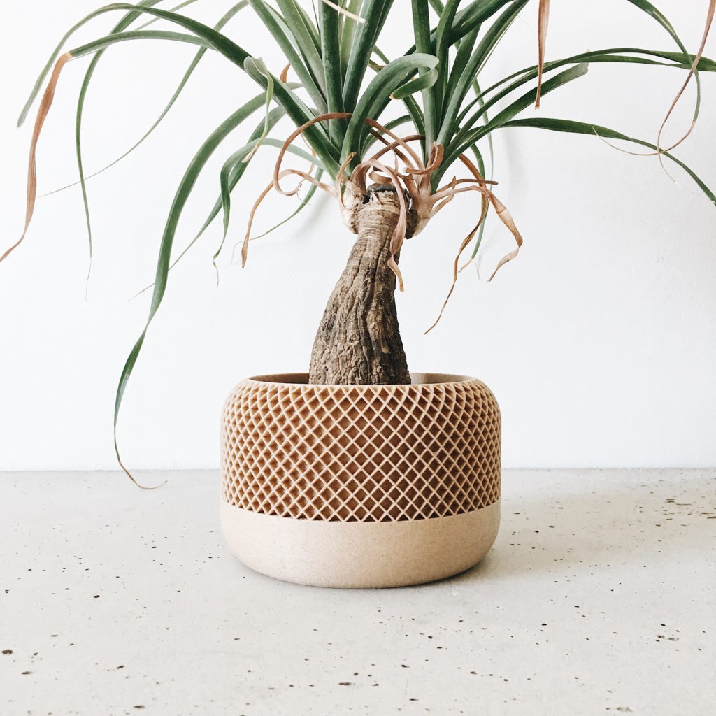 Superbe pot design plante d&
