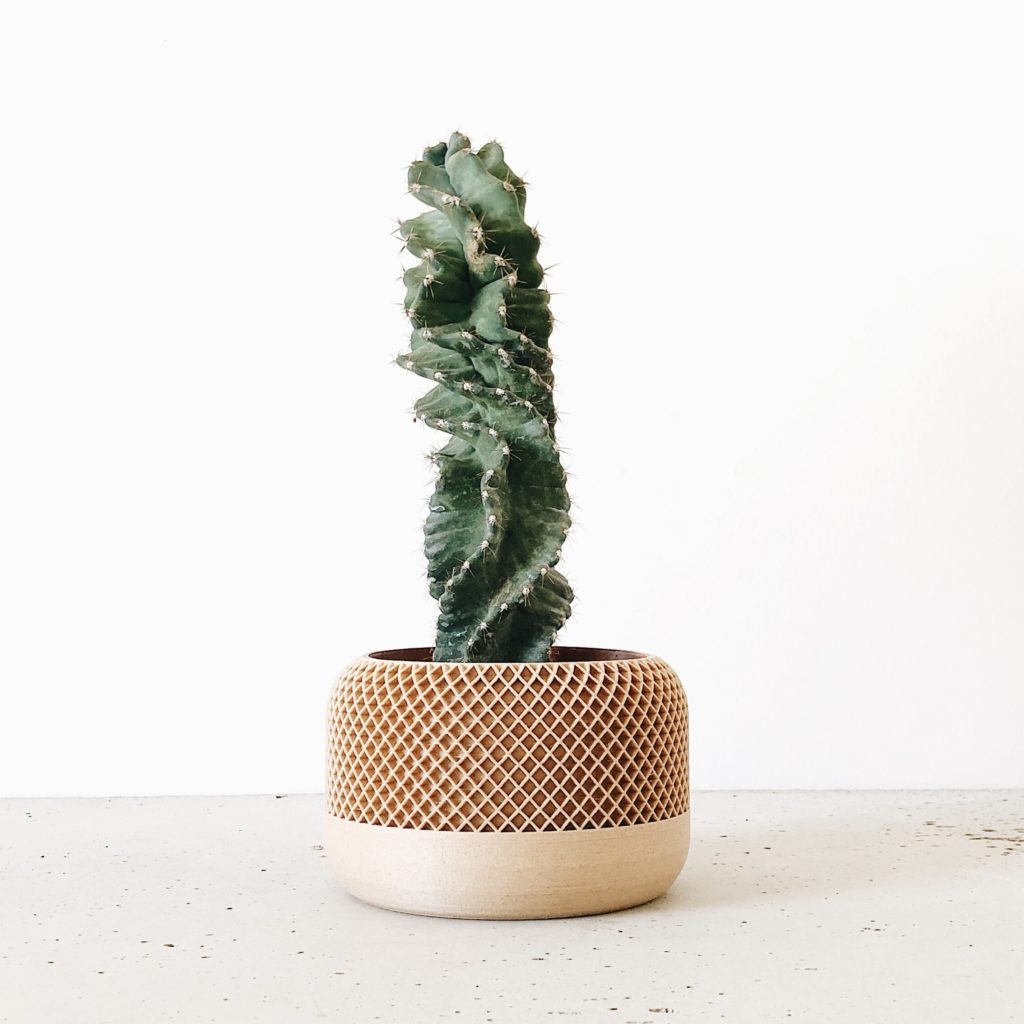 Pot design pour captus