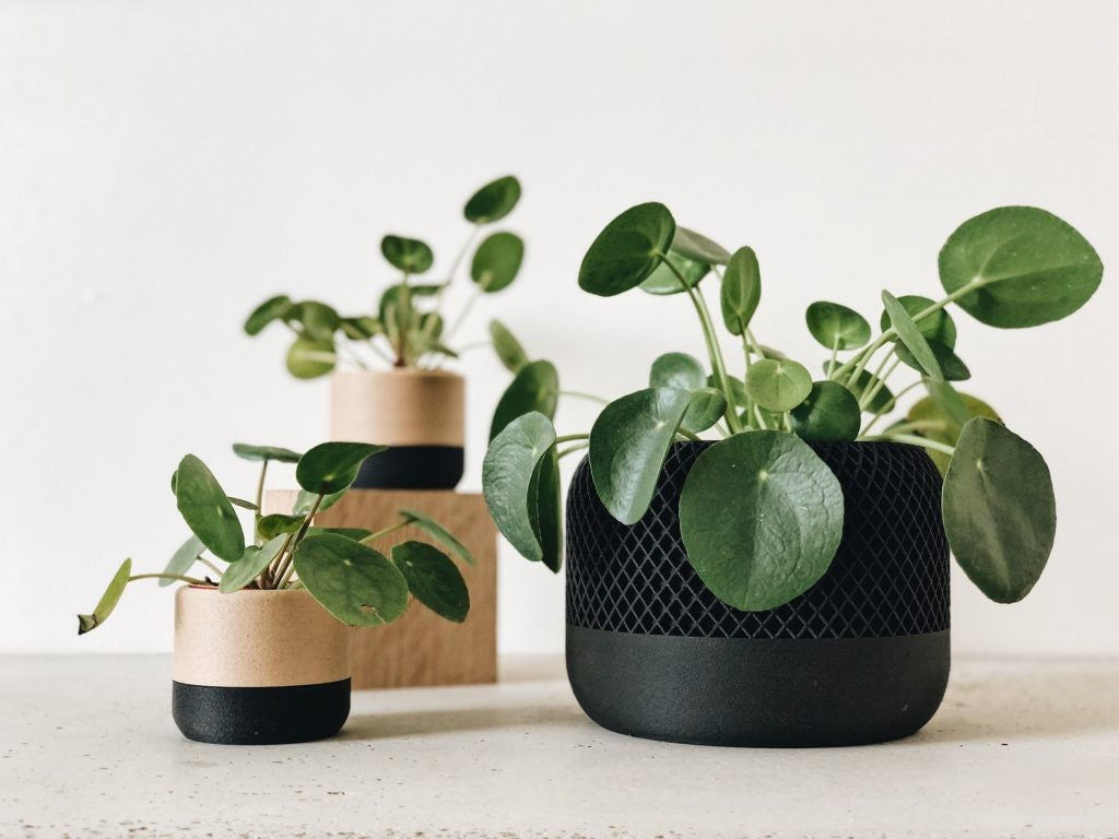 Ensemble de pot de décoration plante d&