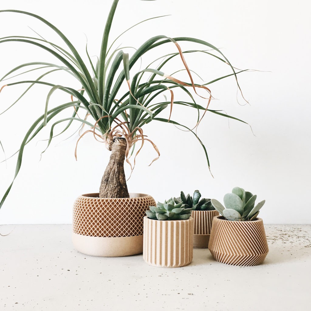 Pot pour plantes Apple Noir