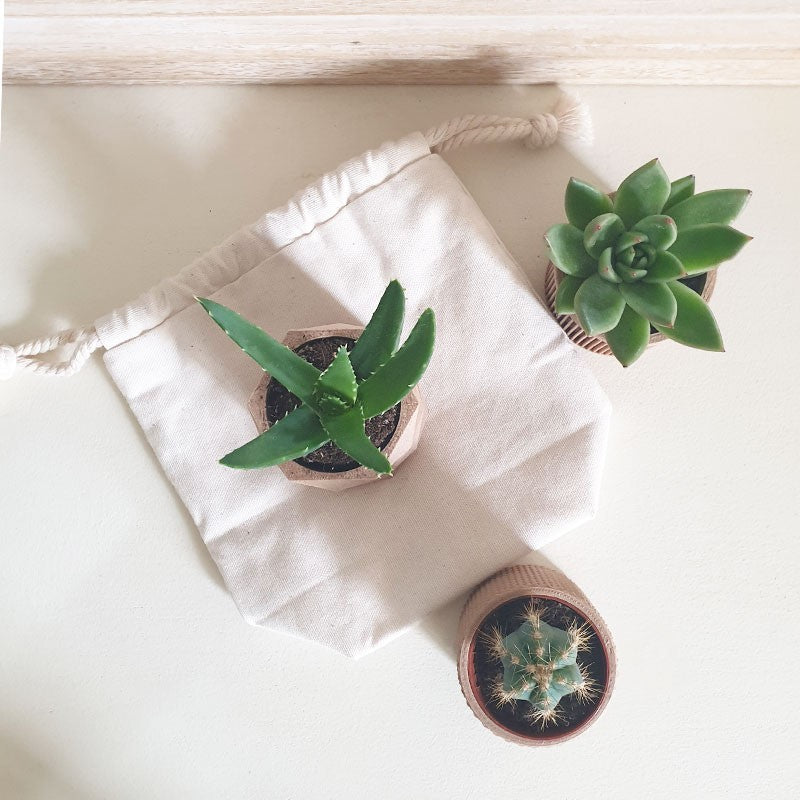 Coffret green by ETHIQ