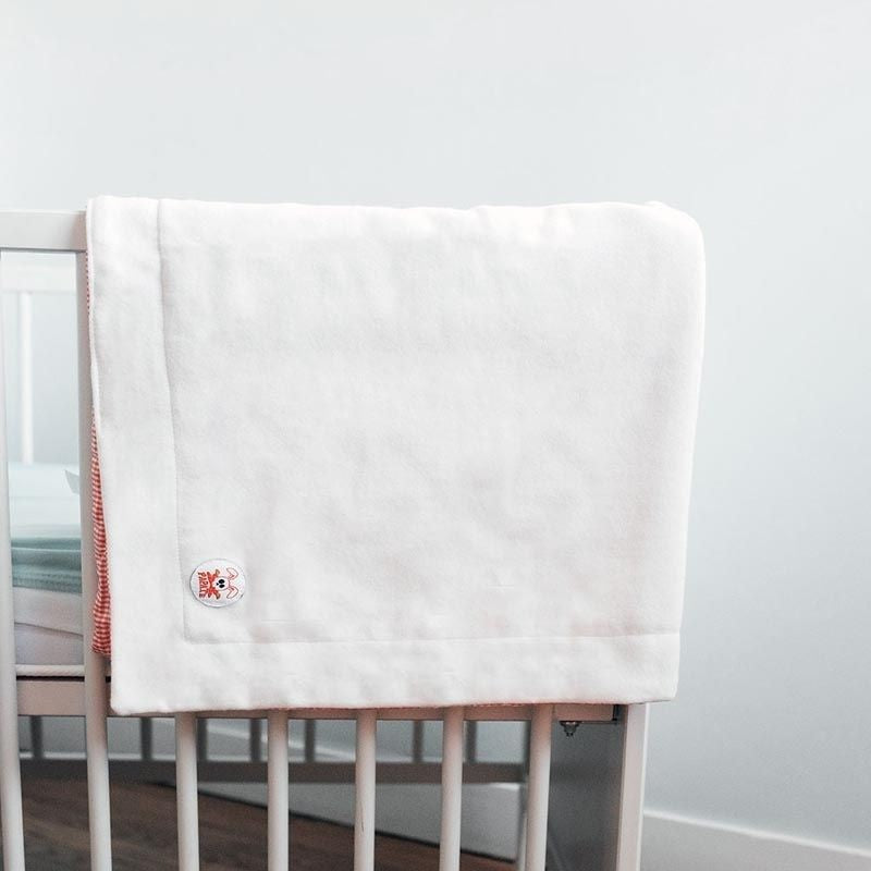 Couverture polaire rex vichy