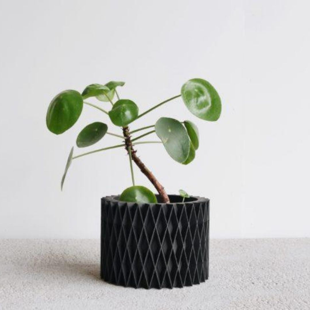 Jardinière d&