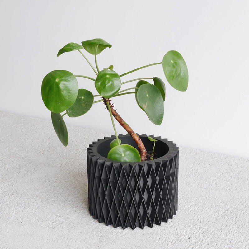 Jardinière noire pour plante grasse CROIX en bois recyclé et bioplastique - Minimum design
