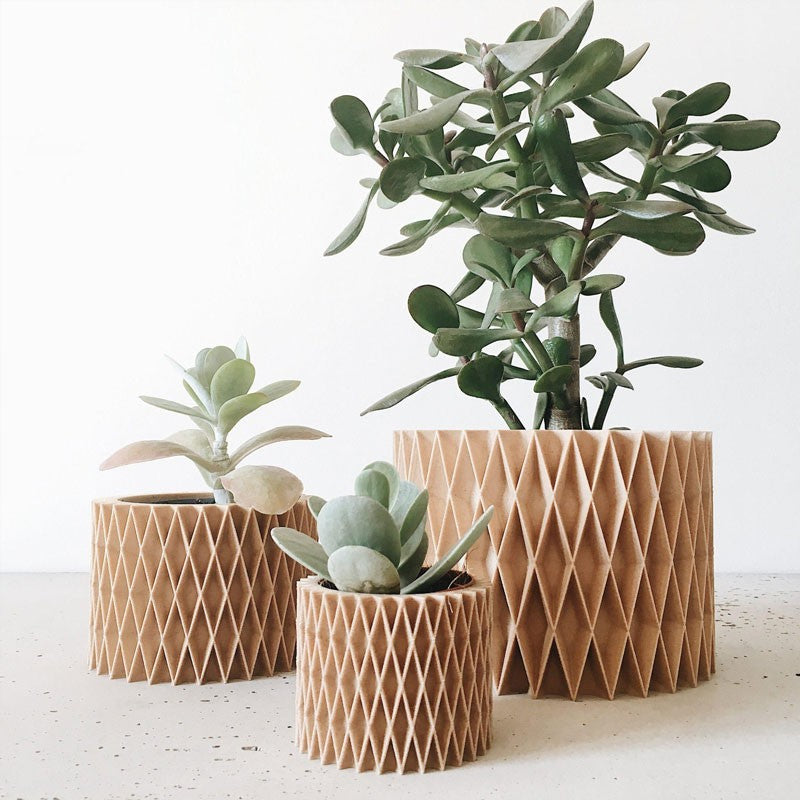 Jardinière pour plante grasse CROIX en bois recyclé et bioplastique - Minimum design