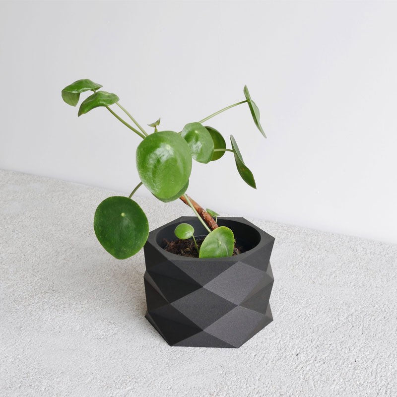 Jardinière pour plante grasse Diamant en bois recylé et bioplastique - Minimum design - Made in France