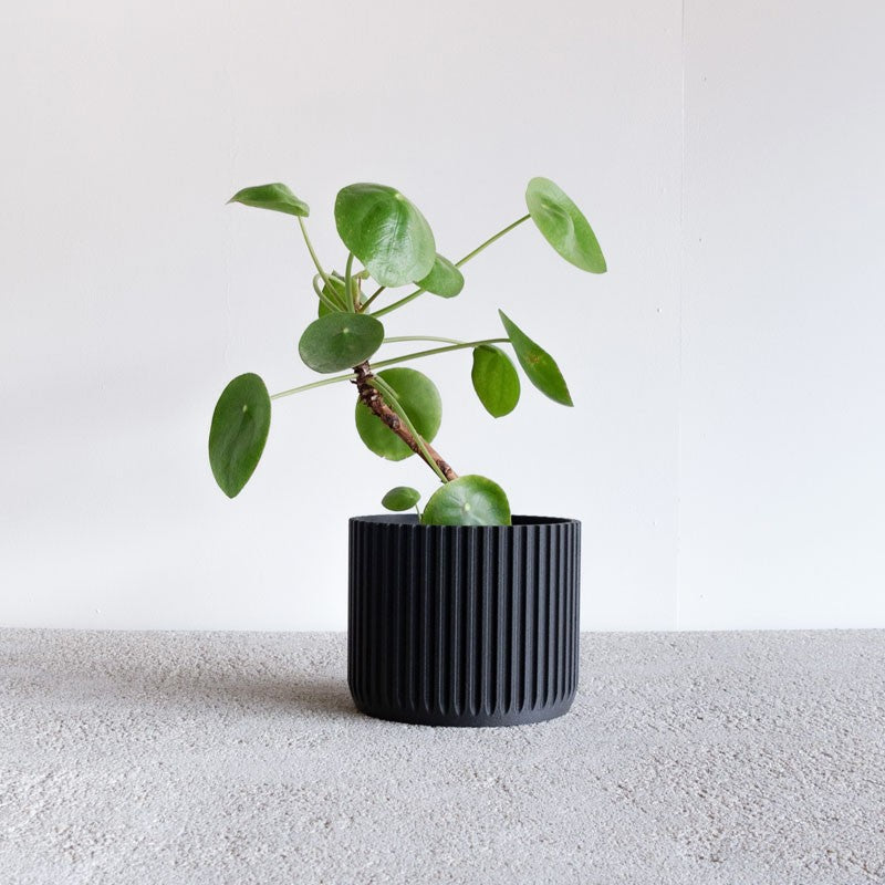 Jardinière d&