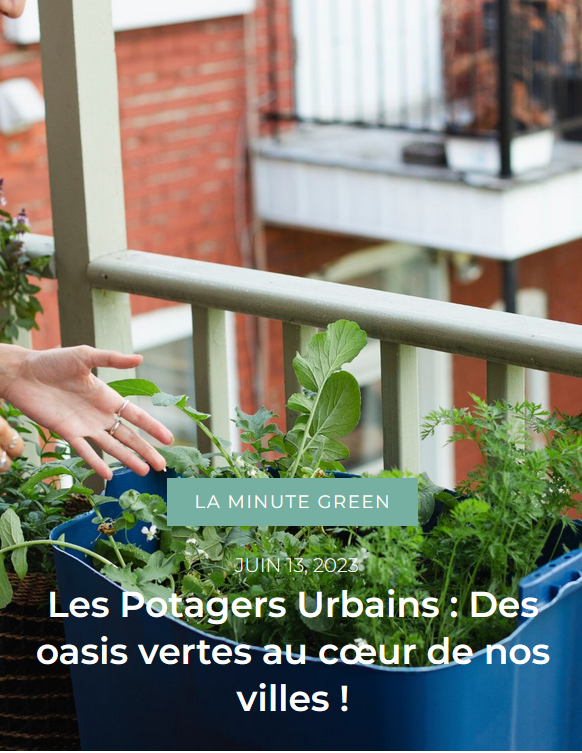 Greenable-le-retour-du-potager