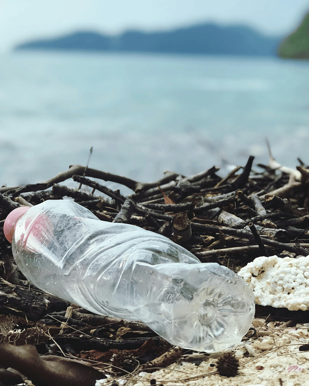 Prendre soin de la planete limiter ses dechets