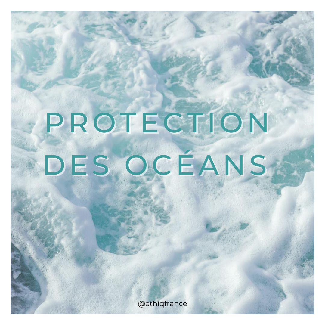 Protection des oceans - Post Instagram @ethiqfrance