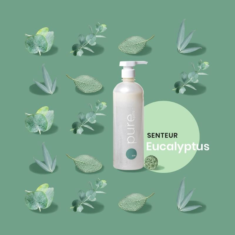 Pack Nettoyant Sols senteur Eucalyptus - Produit d&