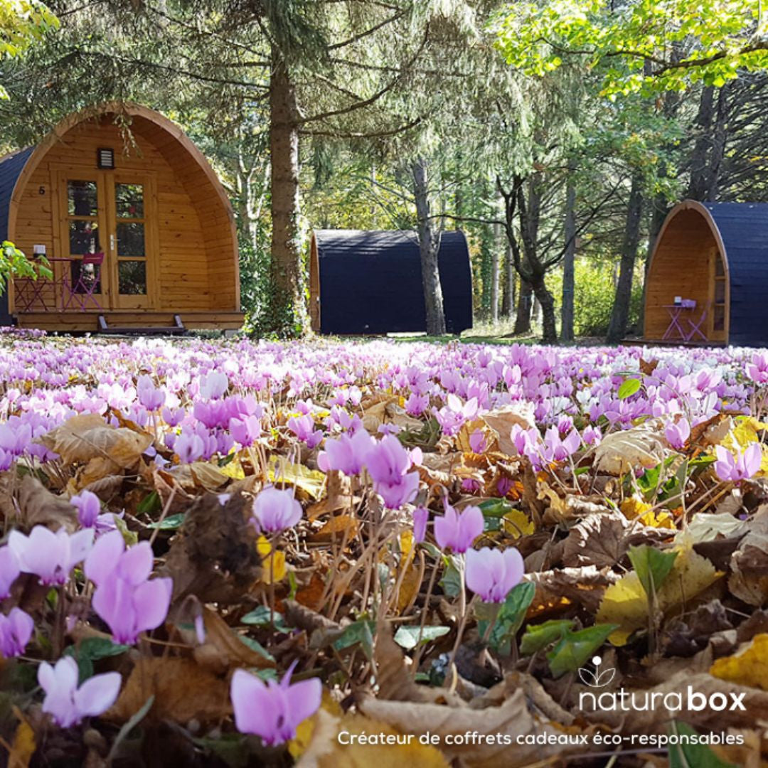 Coffret Natura Famille - Cabanes en bois