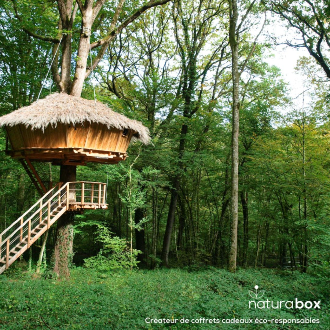 Coffret Cabanes Perchées - Cabane dans les arbres