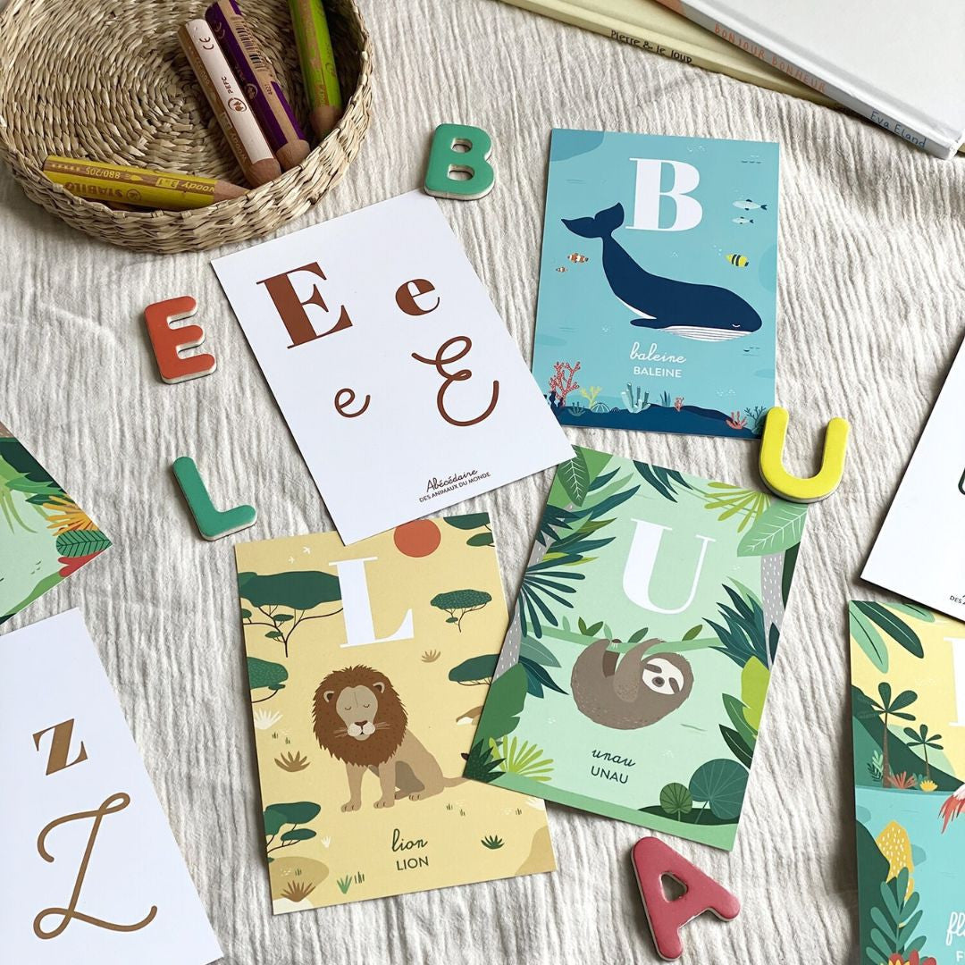 Cartes - Papier Curieux