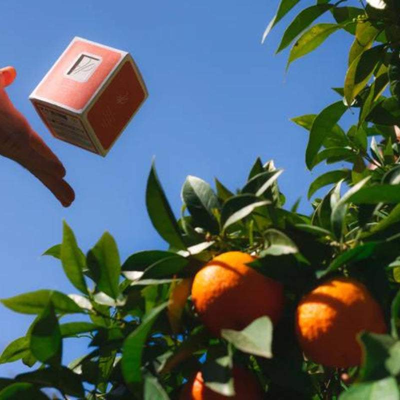 Bougie Parfumée &quot;Dans les oranges en fleurs&quot; - La Promenade - Made In France