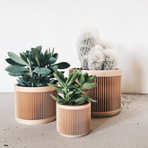 Pot Japan pour plante d&