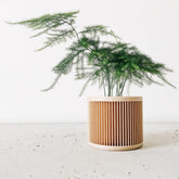 Pot design plante verte fabriqué en France