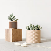 Pot design plante d&