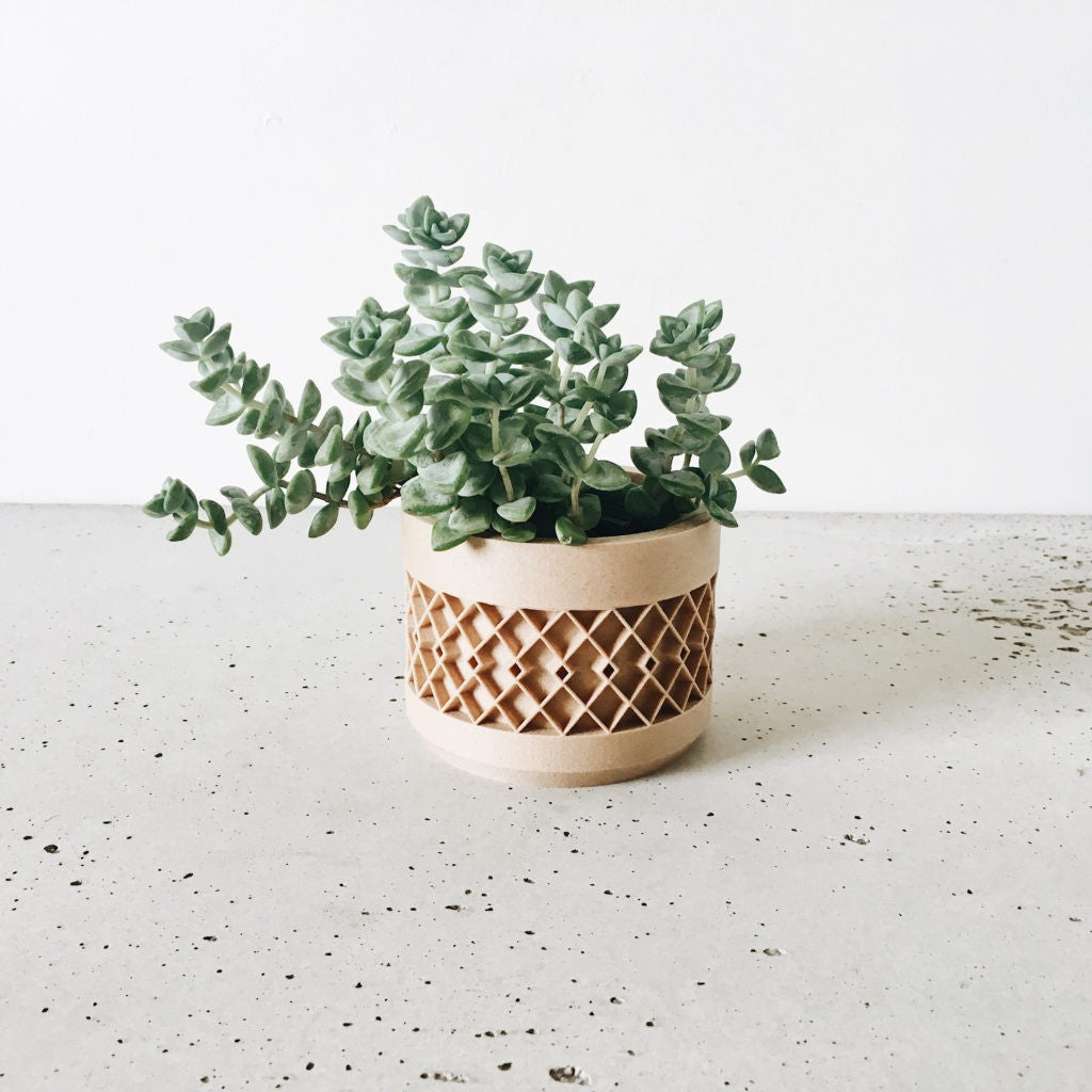 Superbe pot design plante d&