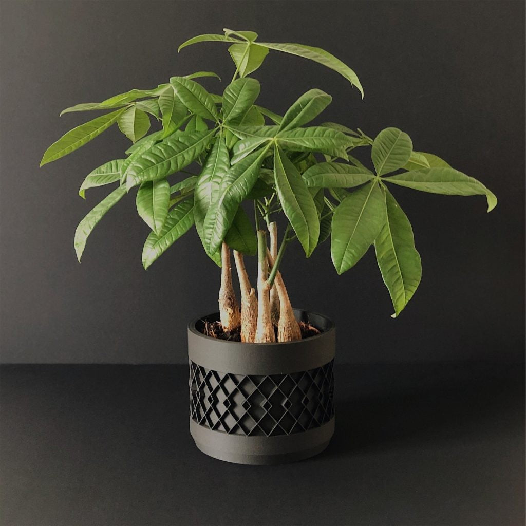 Pot Aztek noir pour plante d&