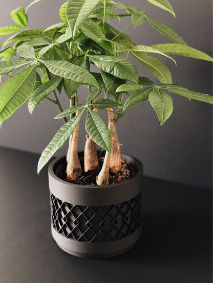 Cache pot noir design pour plantes vertes