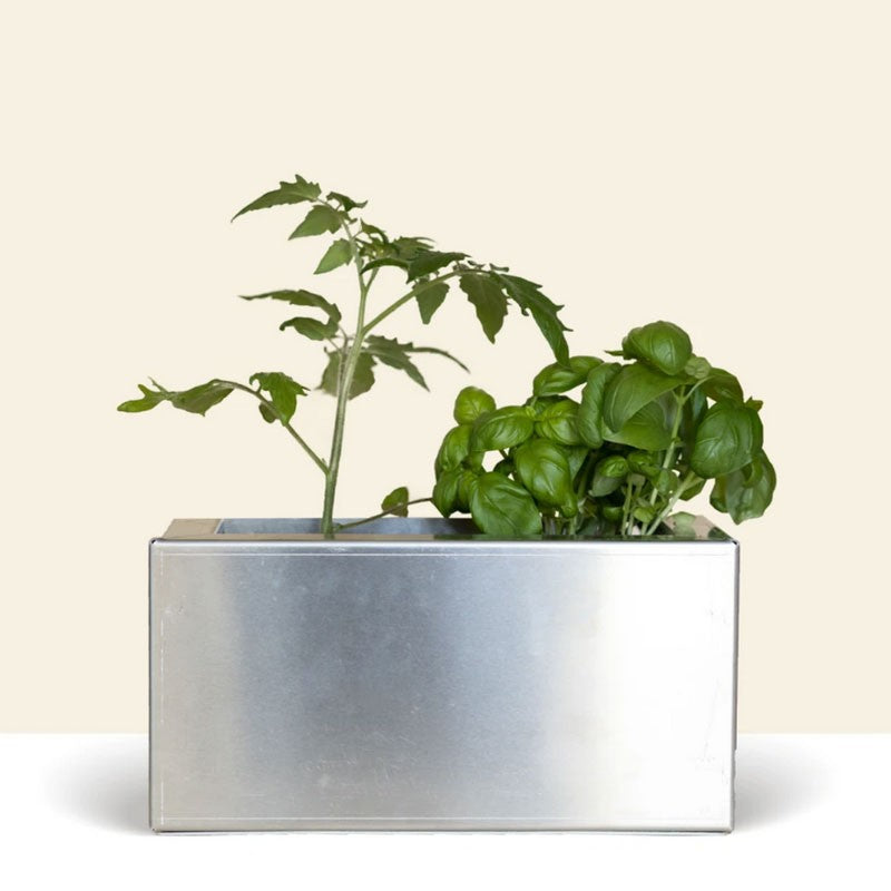 Jardinière design pour potager sur balcon