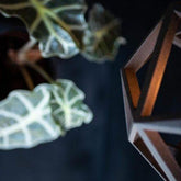 Black Diamond