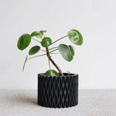 Jardinière d&