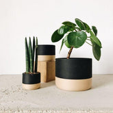 Jardinière d&