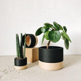 Jardinière d&