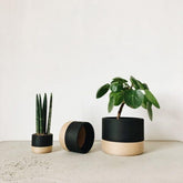 Jardinière d&