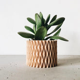 Jardinière d&