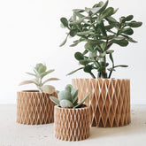 Jardinière pour plante grasse CROIX en bois recyclé et bioplastique - Minimum design