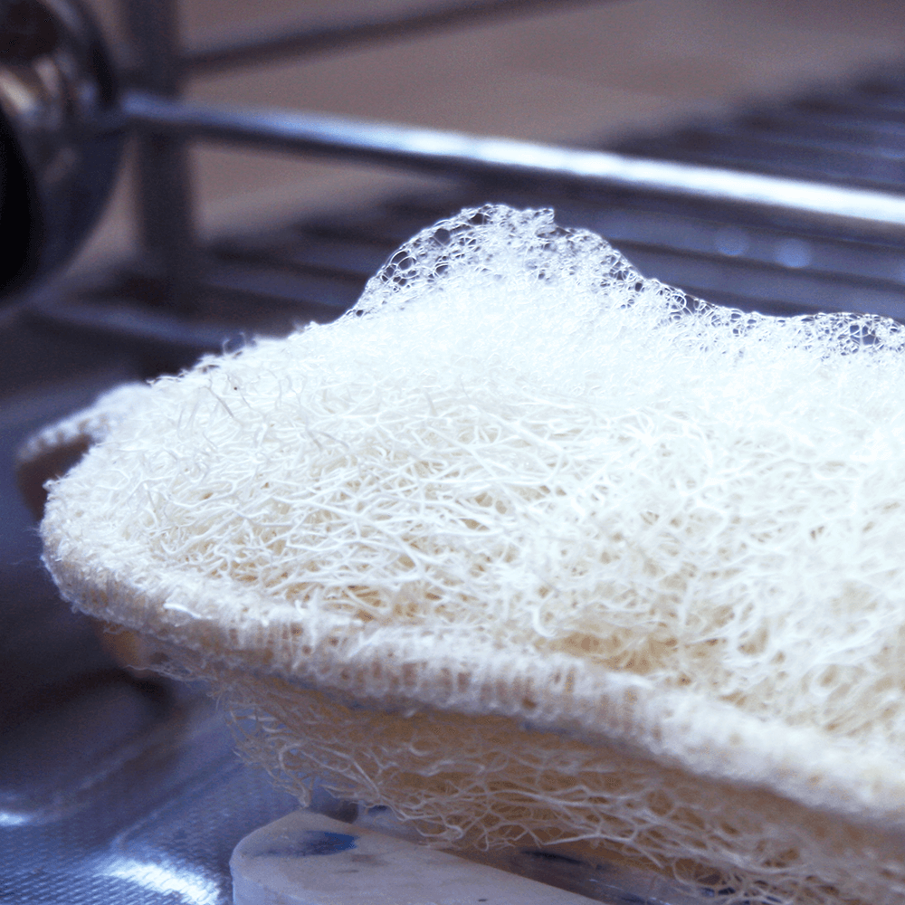 detail eponge en loofah fibre naturelle