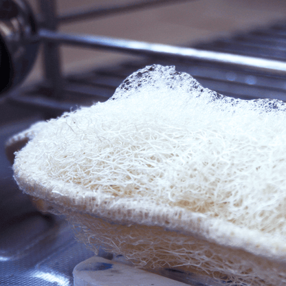 detail eponge en loofah fibre naturelle